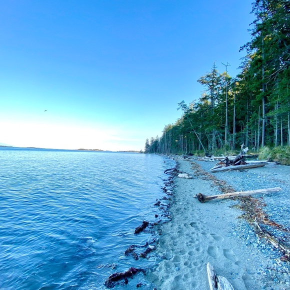 Meet your Posher, Casey - Picture 1 of 1